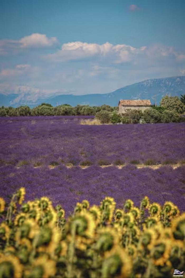 Studio Calanques Pres Du Vieux Port Marsilya Dış mekan fotoğraf